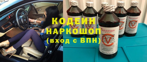 гашик Алексеевка