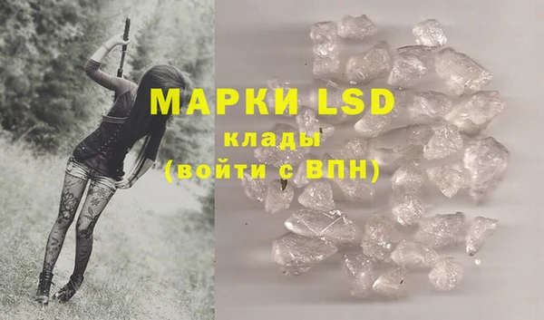 ГАЛЛЮЦИНОГЕННЫЕ ГРИБЫ Алзамай