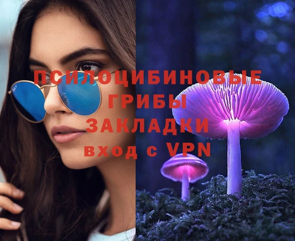 ГАЛЛЮЦИНОГЕННЫЕ ГРИБЫ Алзамай