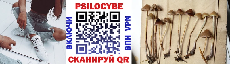 Псилоцибиновые грибы мицелий  Искитим 
